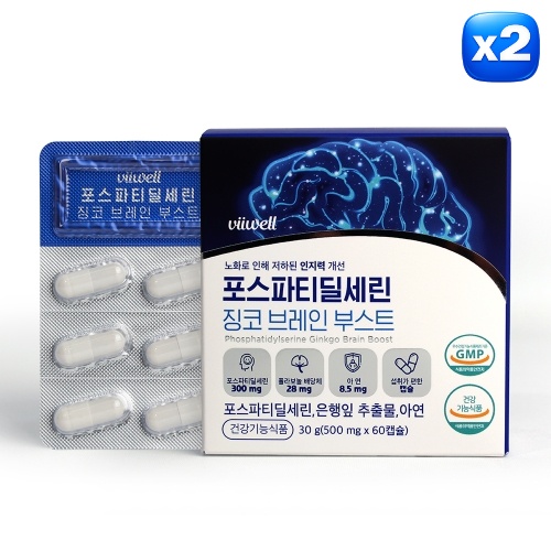 브레인 부스트