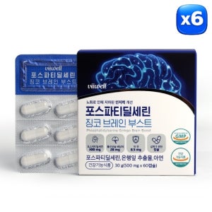 [비웰] 포스파티딜세린 징코 브레인 부스트 은행잎추출물 아연함유 60캡슐, 6개