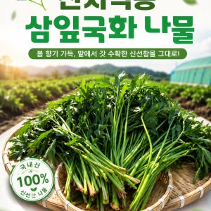 친환경 삼잎국화 나물 500g / 1kg 유기농 특구 충남 홍성 산지직송