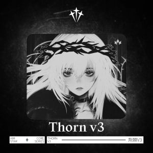 에임스타 쏜 v3 Thorn 게이밍 마우스패드 XL 밸런스 스피드 Aimstar