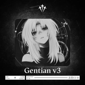 에임스타 젠티안 v3 Gentian 게이밍 마우스패드 XL 밸런스 타입 Aimstar