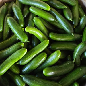 산지직송 미니오이 스낵오이 2kg 3kg 국내산 간식 임당 당뇨 당일발송 무료배송 데일리필
