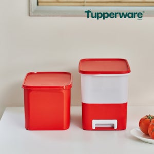 [N단독구성] 타파웨어 주니어키퍼 5kg+모듈러 김치통 3번 6.5L