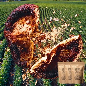 혼자먹는 꽈삭칩 표고버섯 건강한 탕비실 등산 어린이 간식 동결건조 야채칩 80g, 3개