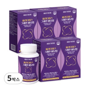 어바웃네이처 파라다이스 그레인 버닝업 60정, 5개
