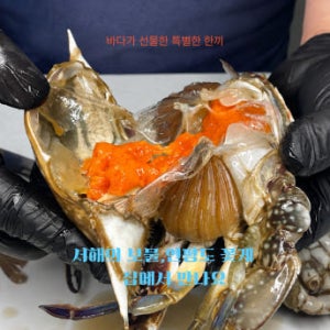 연평도 제철 활꽃게 냉동꽃게 1kg 산지직송