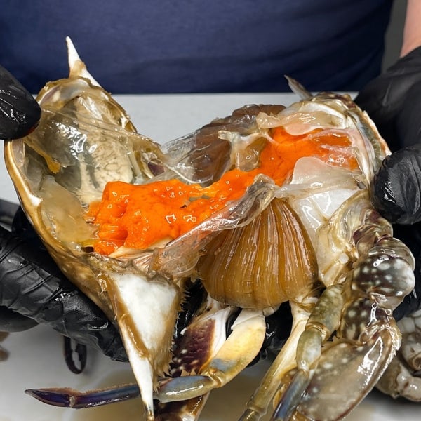 연평도 꽃게 암꽃게 숫꽃게 알배기 제철 가을 활 냉동 1kg