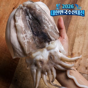 손질갑오징어 냉동 갑오징어볶음 숙회 구이 1.5kg 수산물이력제 친절한어부씨