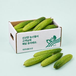 [농할쿠폰] 국내산 백다다기 백오이 특품 1kg 2kg