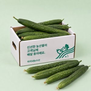 [농할쿠폰] 새벽경매 국내산 가시오이 청오이 조선오이 1kg 2kg