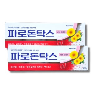 허브 프레쉬 잇몸치약 100g, 2개