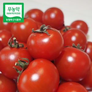 무농약 방울토마토 친환경 고당도 토마토 1kg 3kg [원산지 국산]
