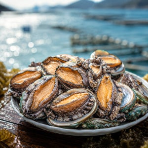 해물모아수산 국내산 세척 완도 활 전복 1kg