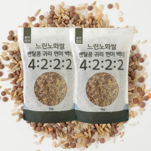 동안밥상 햇곡 저속노화 혼합잡곡쌀 느린노화쌀 2kg, 1개