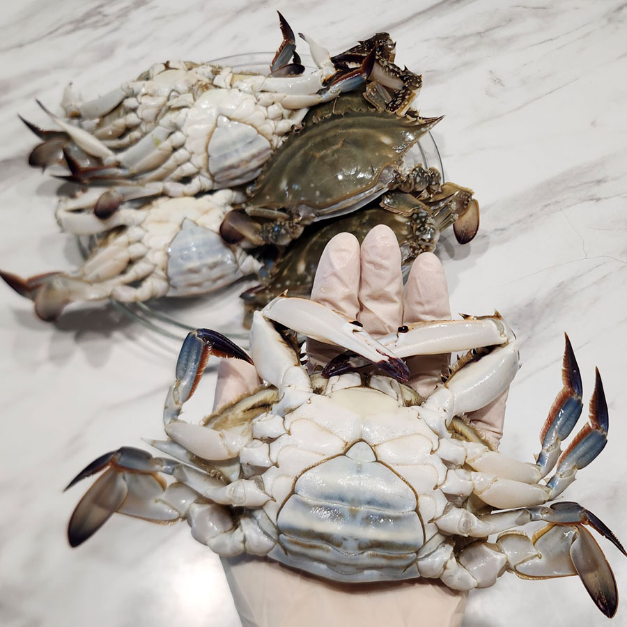 국내산 암꽃게 활 1kg 4-6미 알배기 (19,580원) (무배)