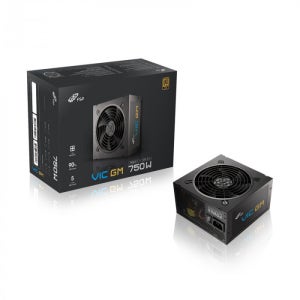 FSP VIC GM 750W 80PLUS골드 풀모듈러 ATX 3.1