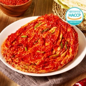 전라도 광주아빠 배추 포기김치 5kg 7kg 10kg 국산 김치가김치