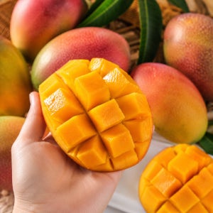 제주 애플망고 프리미엄 제주산 산지직송 과일선물 3kg, 1개