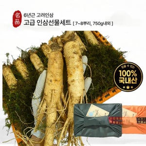 금산수삼 고려인삼 선물세트 특대 750g 상견례 첫인사 가정의달 부모님 건강