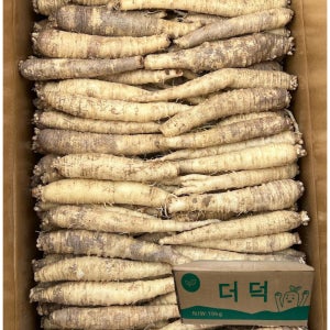 2026 햇더덕 수입더덕 세척 생더덕 중사이즈 더덕무침 구이용 업소용 중, 5kg, 1개