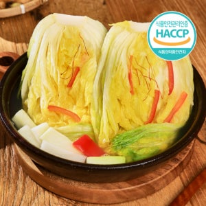 전라도 광주아빠 파프리카 백김치 2kg 국산 김치가김치