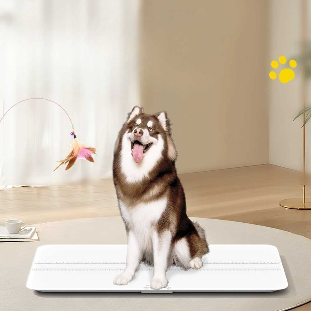 동물병원 체중계 애견 몸무게 전자저울 고양이 반려견 (스카이)