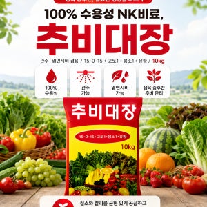 광고 메인 이미지