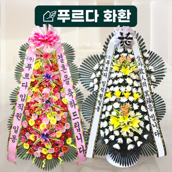 푸르다 화환 근조 개업 장례 축하 부고 개업 식물 화분 꽃 전국 배달 서울 대구