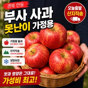 못난이 부사 사과 5kg 10kg 가정용 흠과 안동 부사 산지직송