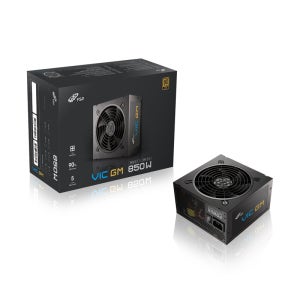 FSP VIC GM 80PLUS 골드 풀모듈러 ATX3.1 컴퓨터 파워 850W, 블랙