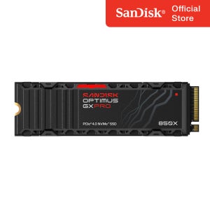 SANDISK Optimus GX PRO 850X NVMe SSD - 4TB 히트싱크