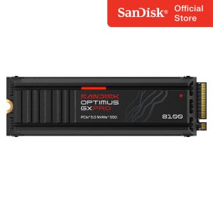 SANDISK Optimus GX PRO 8100 NVMe SSD - 2TB 히트싱크