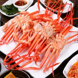 국내산 제철 울진 홍게 당일자숙 3.5~4kg (8~10미)