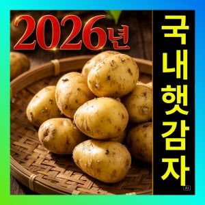 2026년 햇감자 산지직송 국내산 수미감자 size 왕특, 10kg, 1개