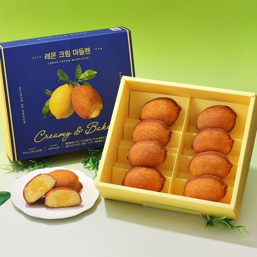 마들렌 플레인