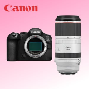 [대여] 캐논 R6MARK3 + RF 100-500 홈마 미러리스 카메라 알육막삼 백오백