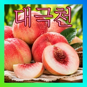 쫀득 과즙 대폭발 대극천 복숭아 대과, 1.5kg, 1개