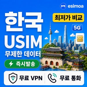 한국 전지역 USIM 유심 SKT/LGU+ 데이터 전화,VPN 무료 서울