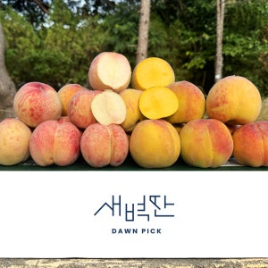 (농할20%) 경북 백도 황도 말랑이 딱딱이 복숭아 2kg 4kg