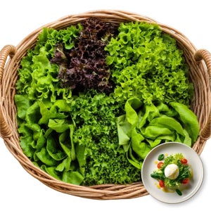 거북이농장 유러피안 샐러드 야채 쌈 채소 유럽 상추 믹스 재료 1kg