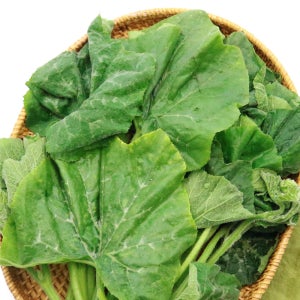 26년 당일수확 호박잎 제철 햇 데친 호박잎쌈 1kg 2kg