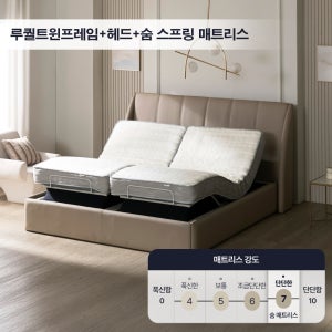 루퀄 트윈 모션베드 매트리스 세트 TW 리클라이너 모션침대