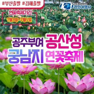 부산출발 테마여행 부여 궁남지 연꽃축제 리무진 관광버스 경희여행사