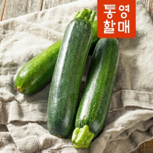 통영할매 특 상품 주키니호박 돼지호박 10kg 한 박스 중도매인 당일경매