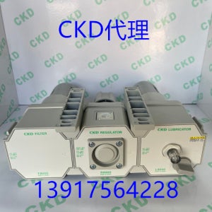 CKD 필터 C8000-25-W C6000-20-W