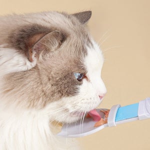 고양이 츄르 짜개 튜브 간식 스퀴저 반려묘 습식 스틱 츄루 스푼 냥집사 캣맘 추르 짜게