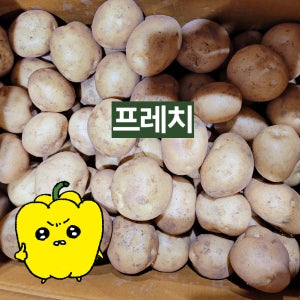 프레치 국산 햇 감자 제철 수미감자 소(알감자크기), 10kg, 1개