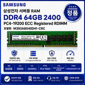 서버용 RAM DDR4 64GB 2400 PC4 19200 ECC REG M393A8G40D41 CRC