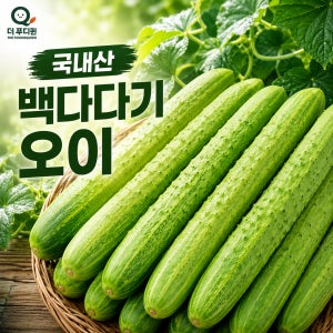 백다다기 오이 특품 못난이(상품) 오이지용 특대, 10kg, 1개