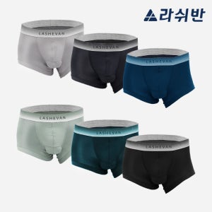 라쉬반 프리미엄 셀루켓 무브프리 6종